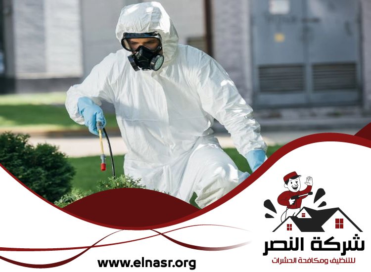 شركة مكافحة حشرات في ابوظبي 4 شركة مكافحة حشرات في ابوظبي